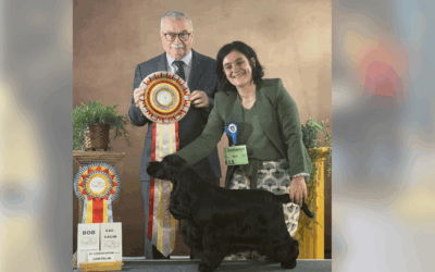 Brussels show stopper