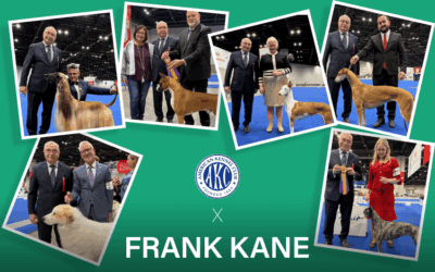 Blog Thumbnail Frank Kane at AKC-American Kennel Club