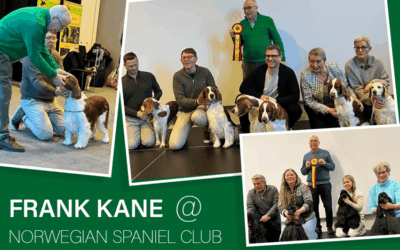 NSC-x-Frank-kane Kennel Club, Norwegian Spaniel Club, Frank Kane, Dog Judge, Seminar