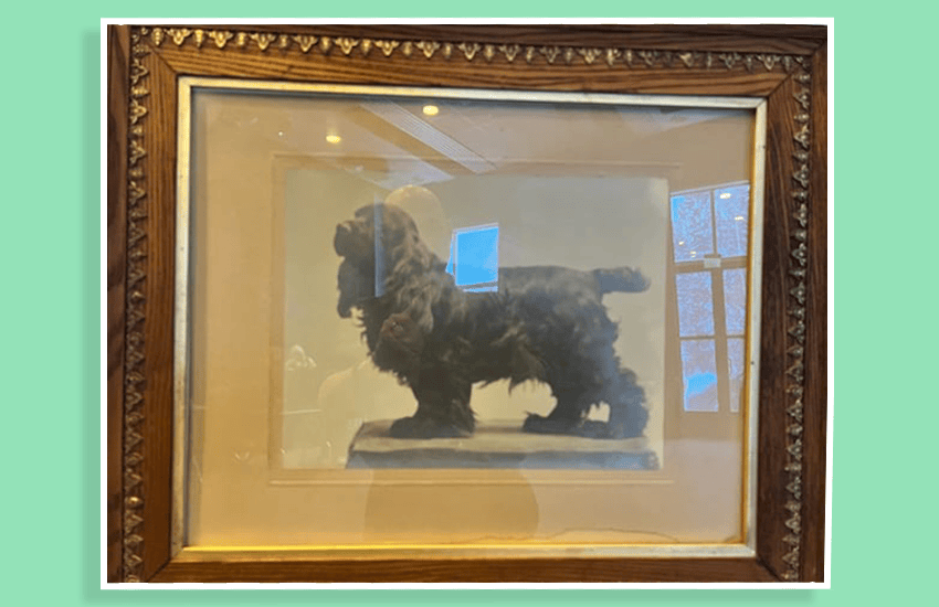 in-the-afternoon-imgs-850x550