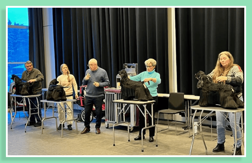 last-para-imgs-850x550