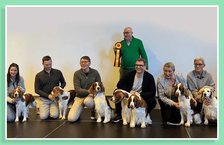 we-cover-para-imgs-850x550