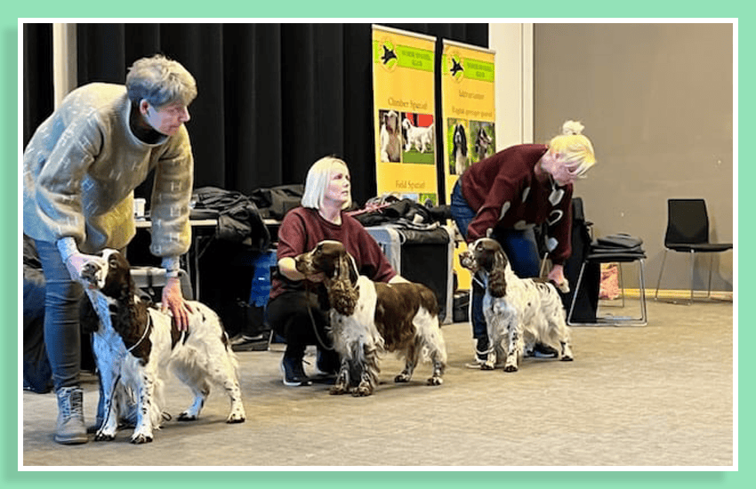 what-dedication-imgs-850x550